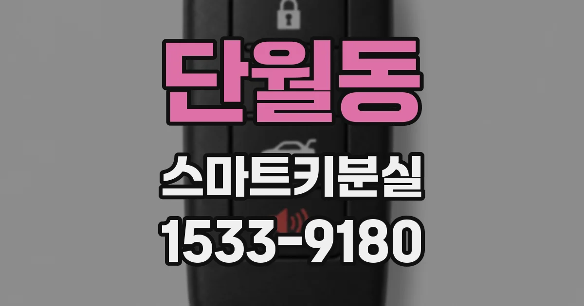 단월동 스마트키분실