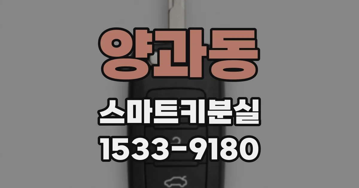 양과동 스마트키분실
