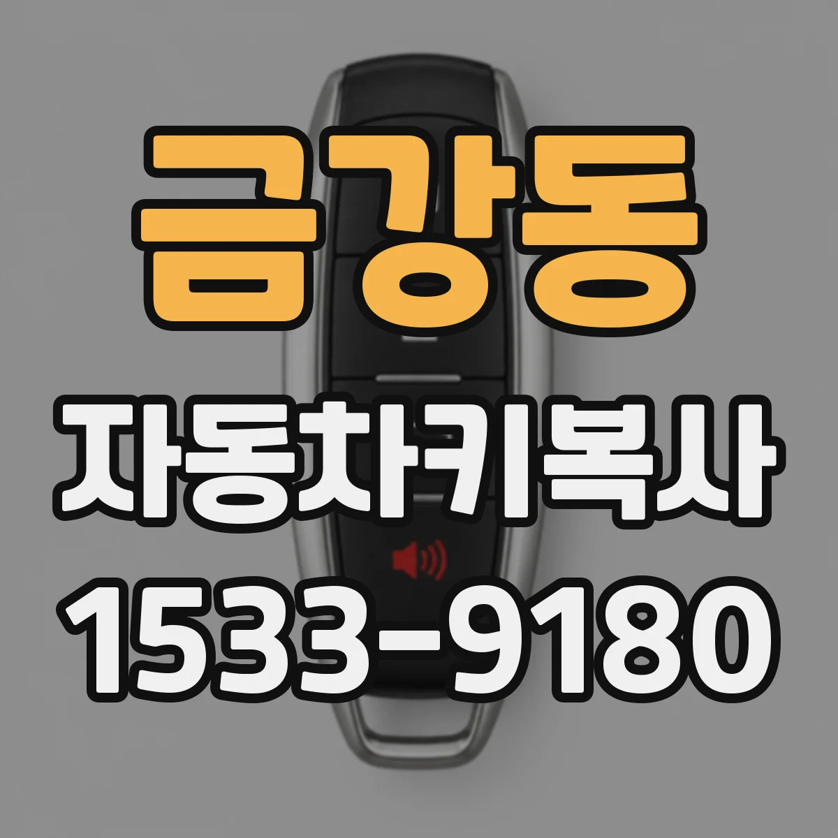 금강동 자동차키복사