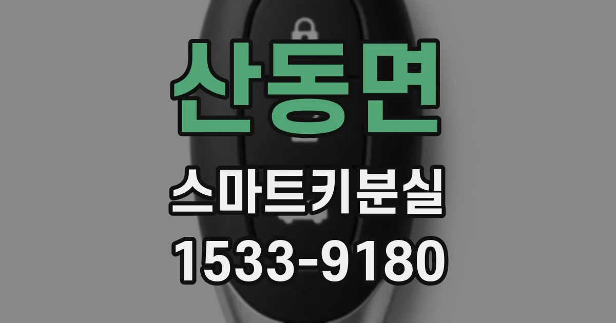 산동면 스마트키분실