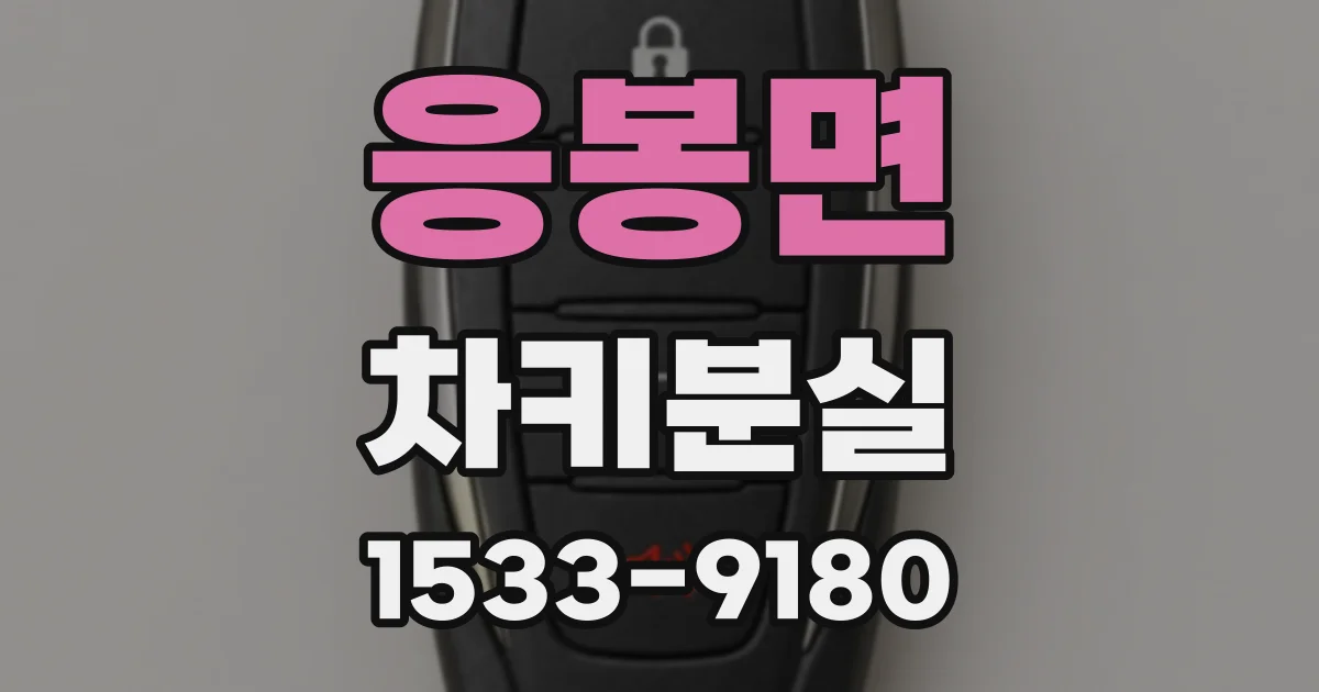 응봉면 차키분실