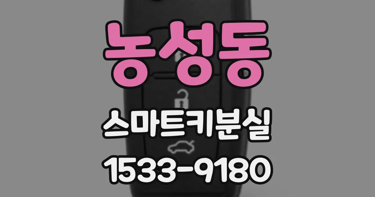 농성동 스마트키분실