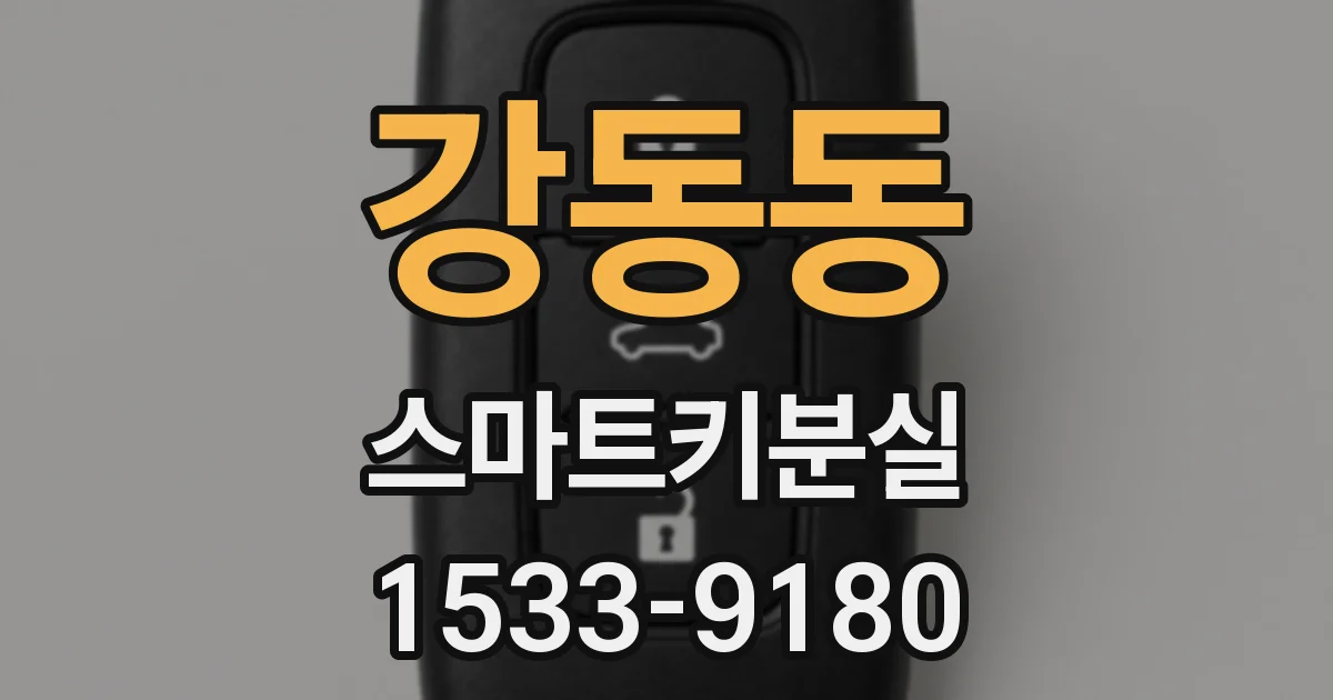 강동동 스마트키분실