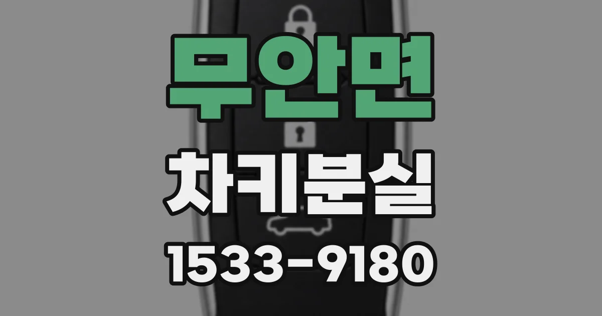 무안면 차키분실