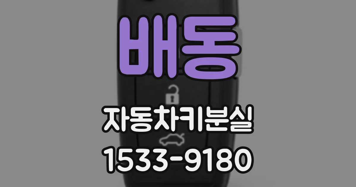 배동 자동차키분실