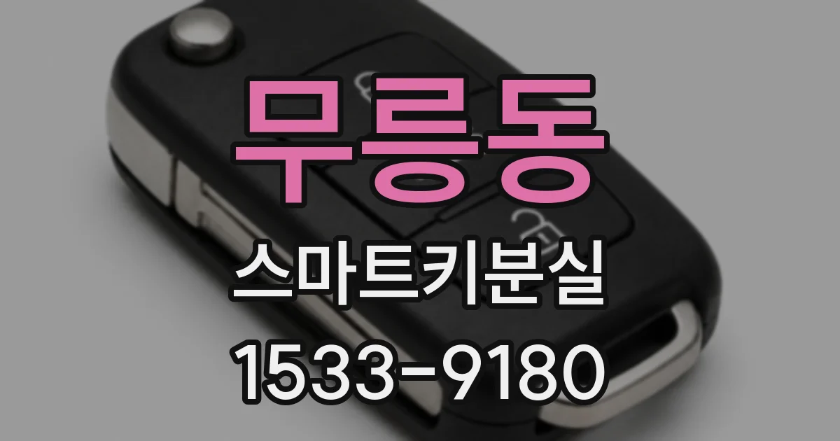 무릉동 스마트키분실