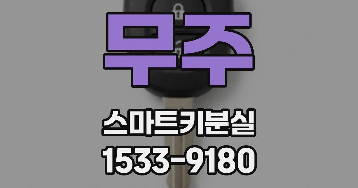 무주 스마트키분실