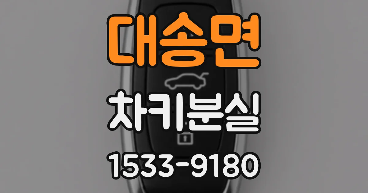대송면 차키분실