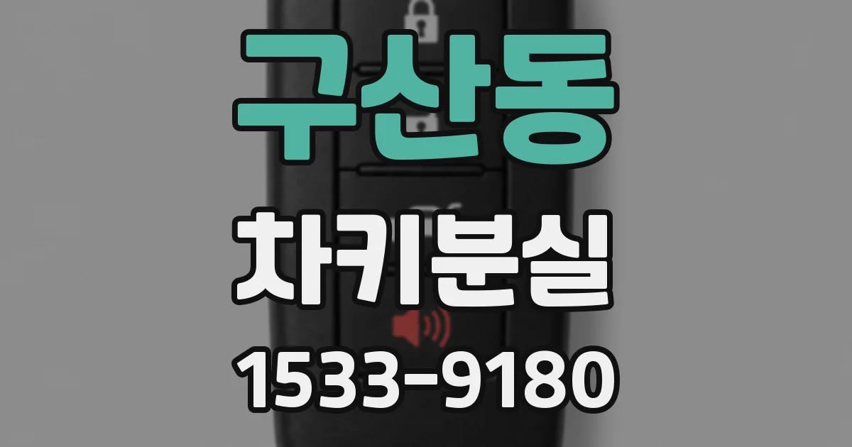 구산동 차키분실