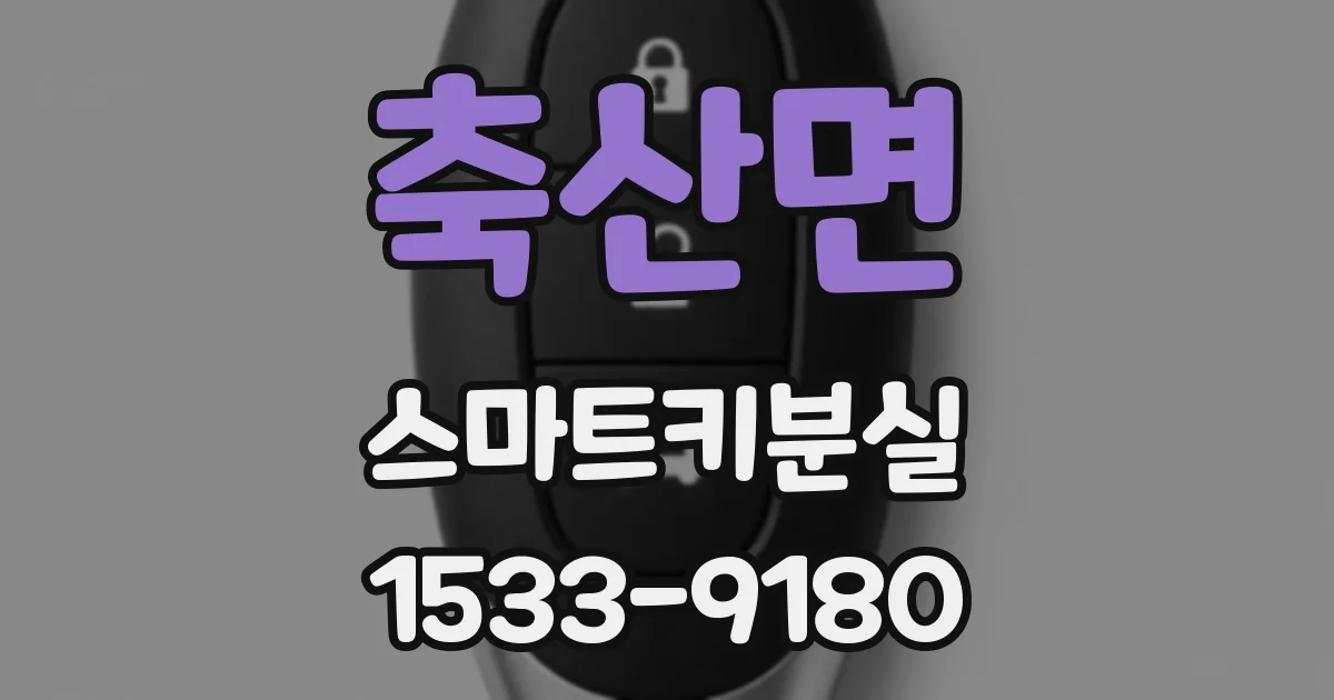 축산면 스마트키분실