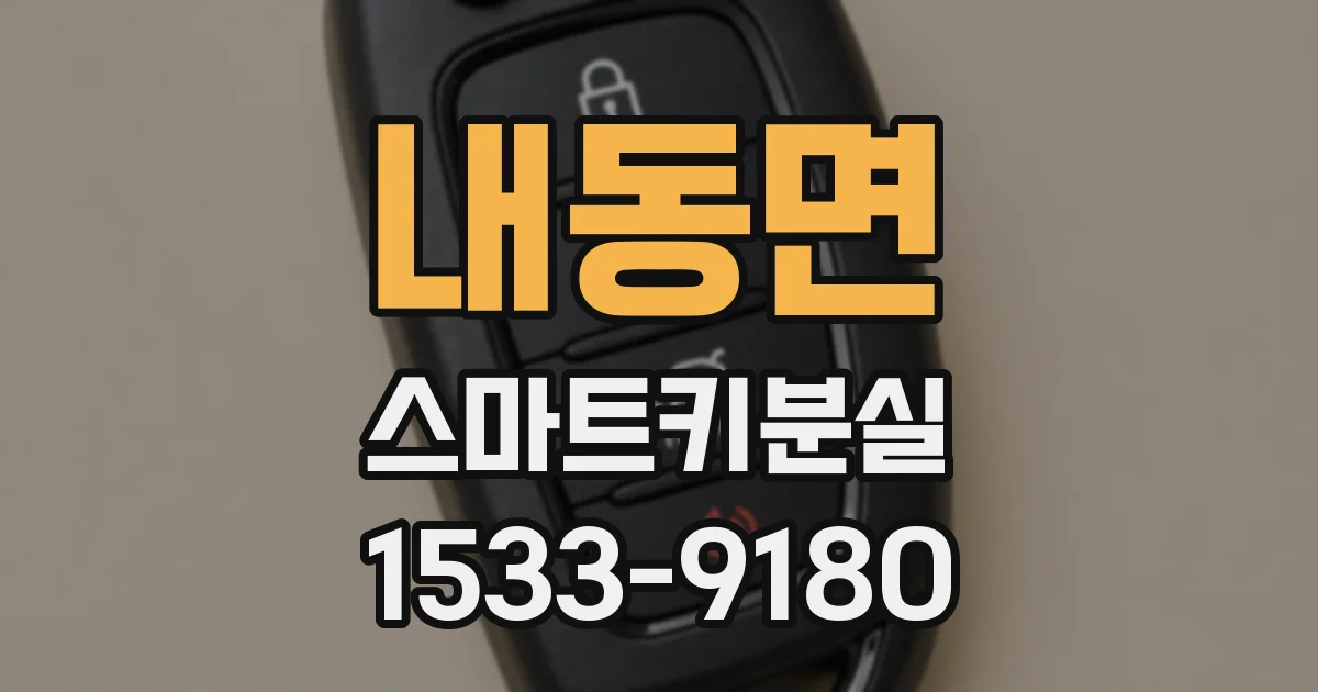 내동면 스마트키분실