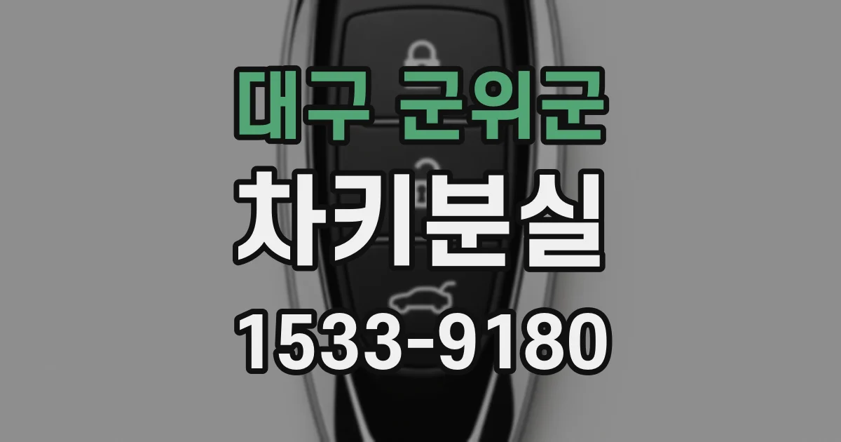대구 군위군 차키분실