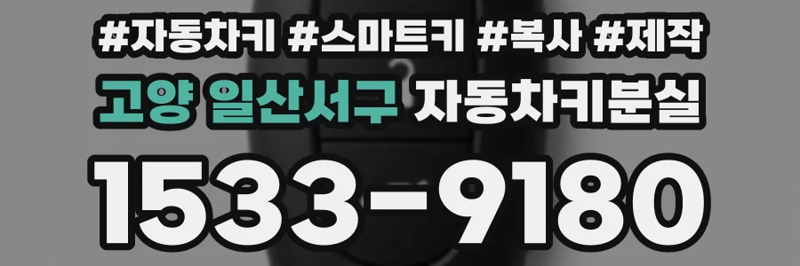 고양 일산서구 자동차키분실