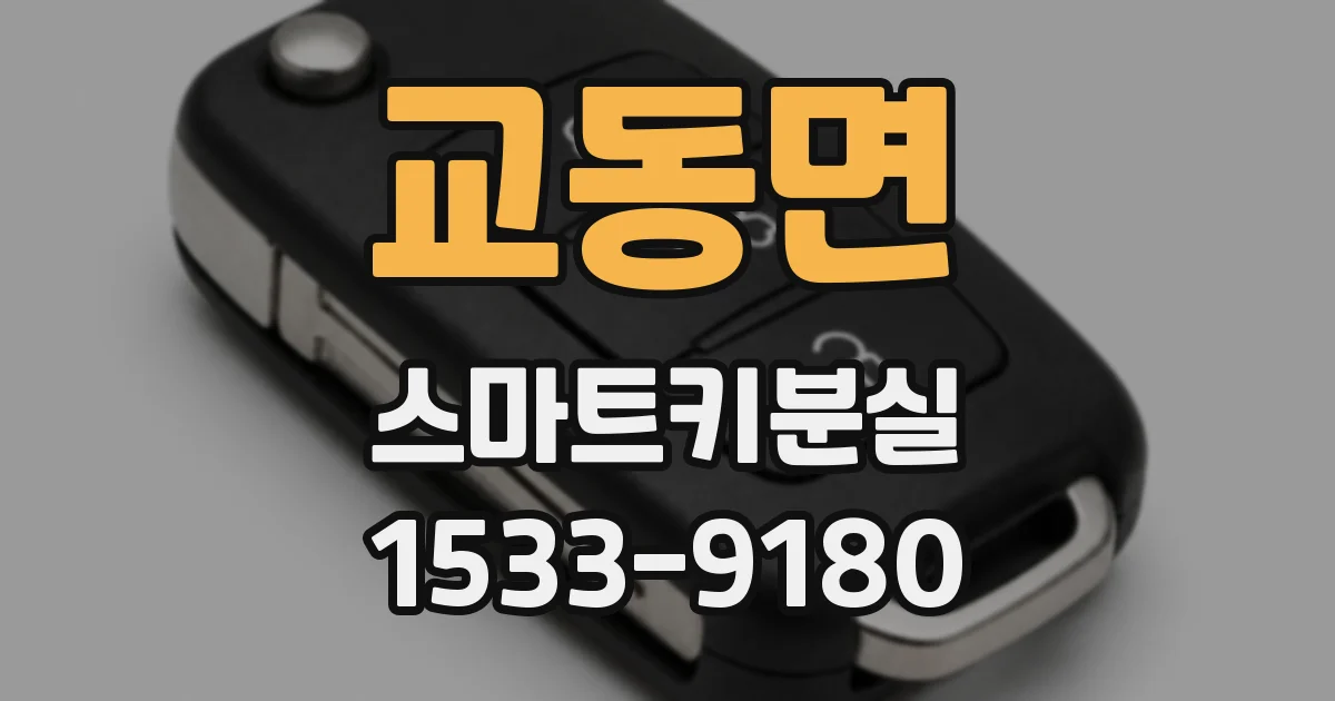 교동면 스마트키분실