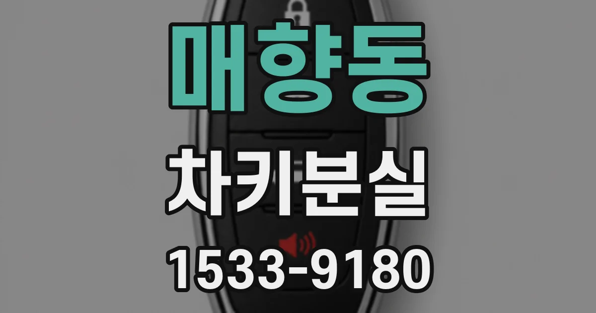 매향동 차키분실