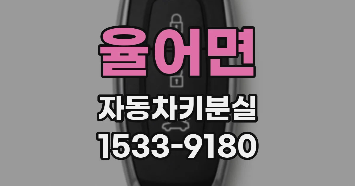 율어면 자동차키분실