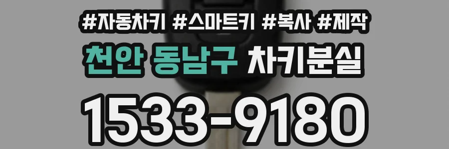 천안 동남구 차키분실
