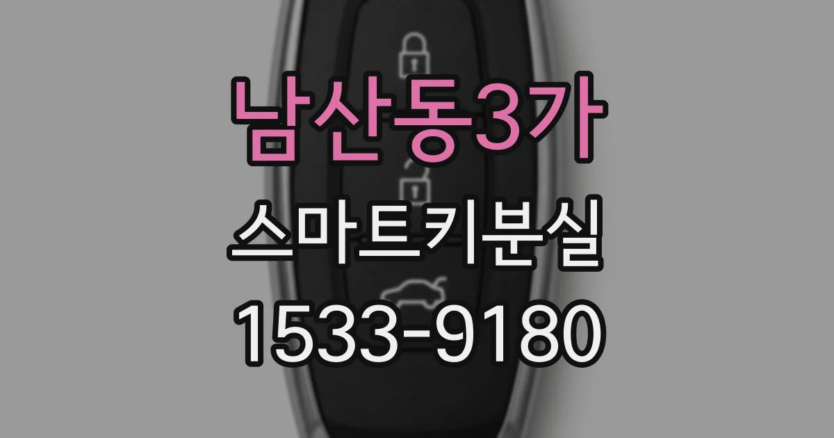 남산동3가 스마트키분실