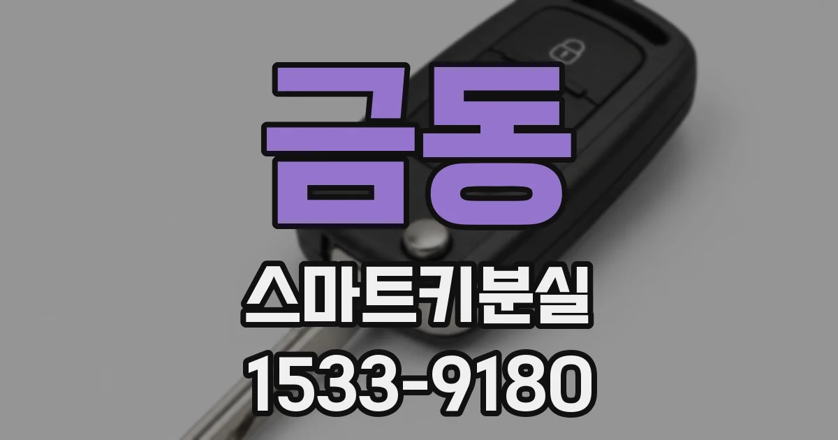 금동 스마트키분실