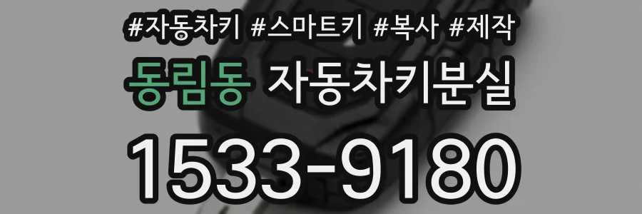 동림동 자동차키분실