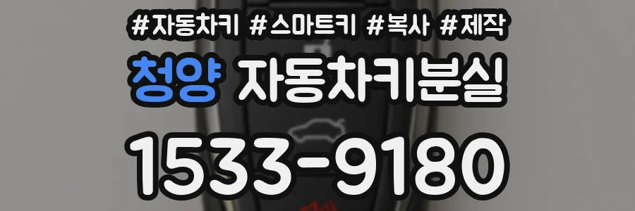 청양 자동차키분실