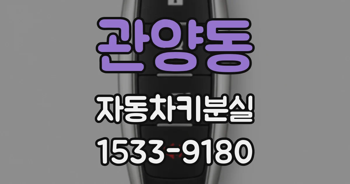 관양동 자동차키분실