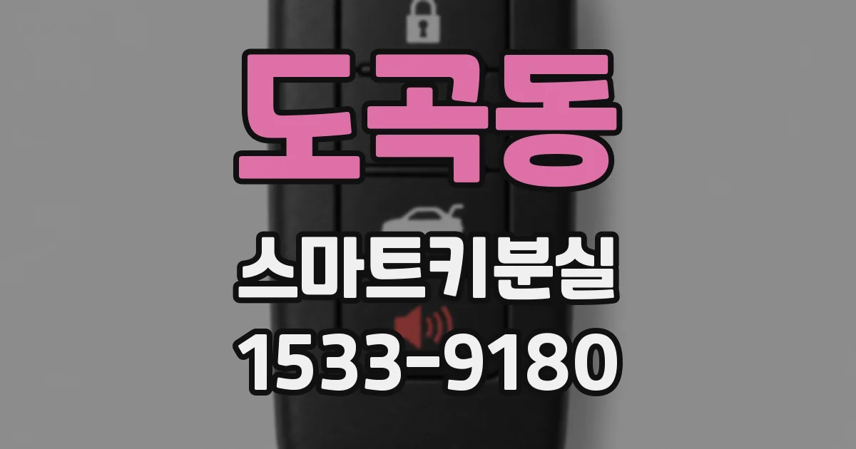 도곡동 스마트키분실