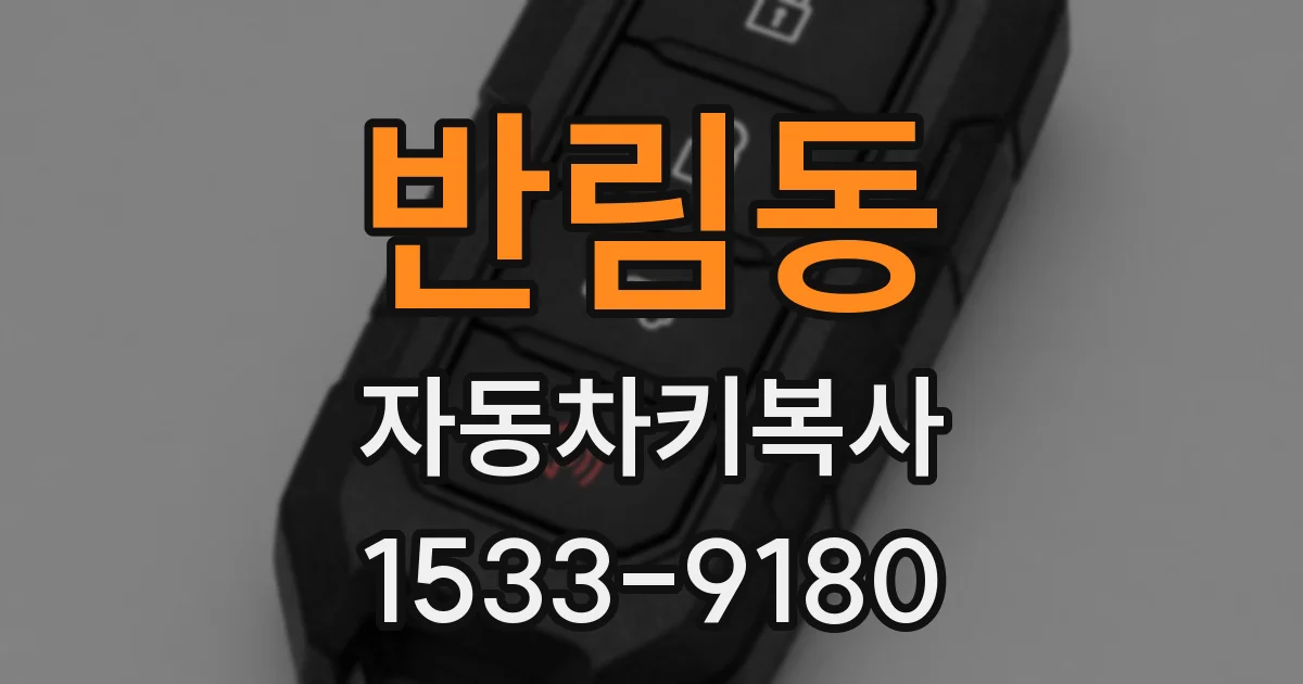 반림동 자동차키복사