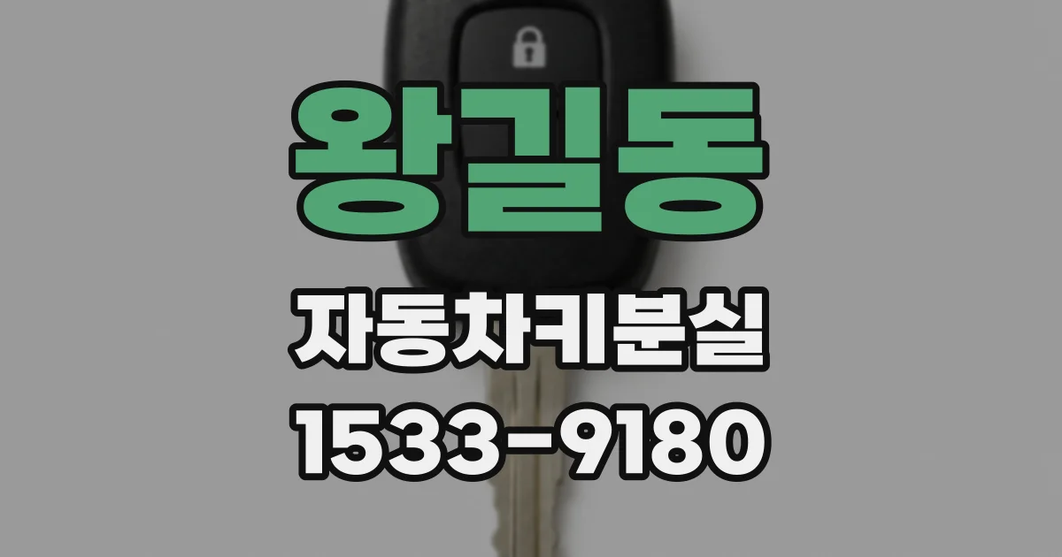 왕길동 자동차키분실