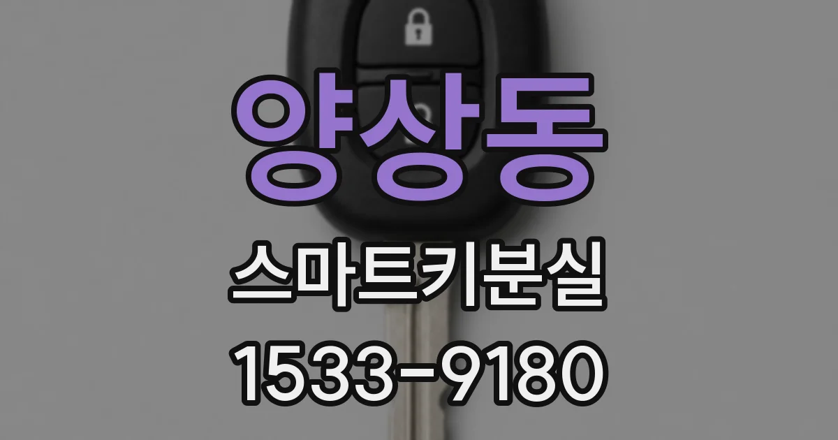 양상동 스마트키분실