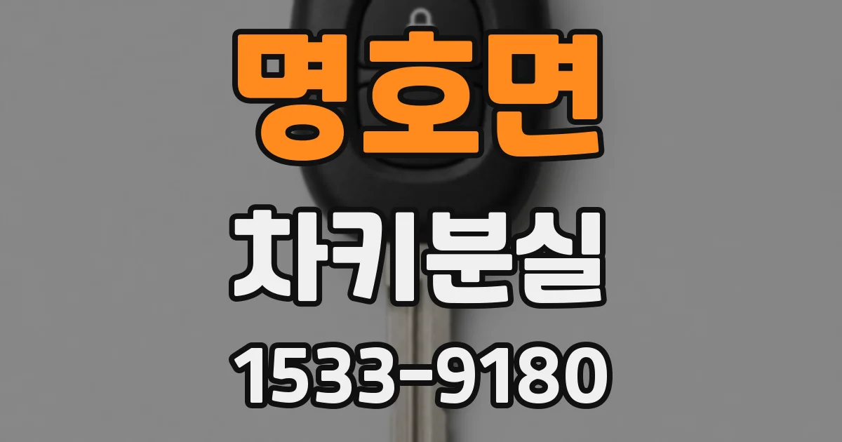 명호면 차키분실