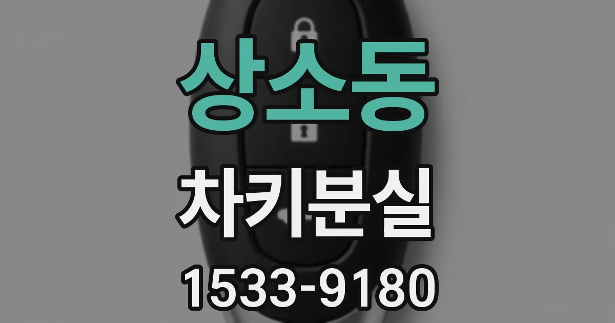 상소동 차키분실