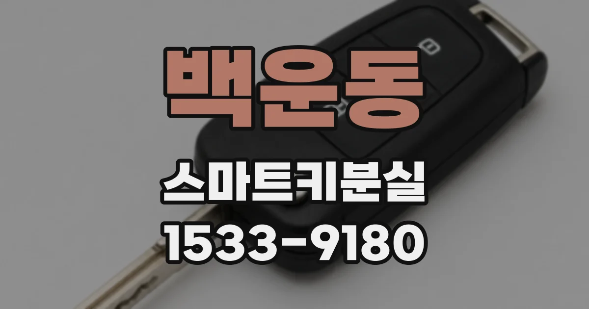 백운동 스마트키분실