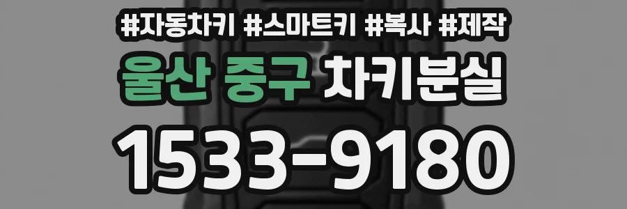 울산 중구 차키분실