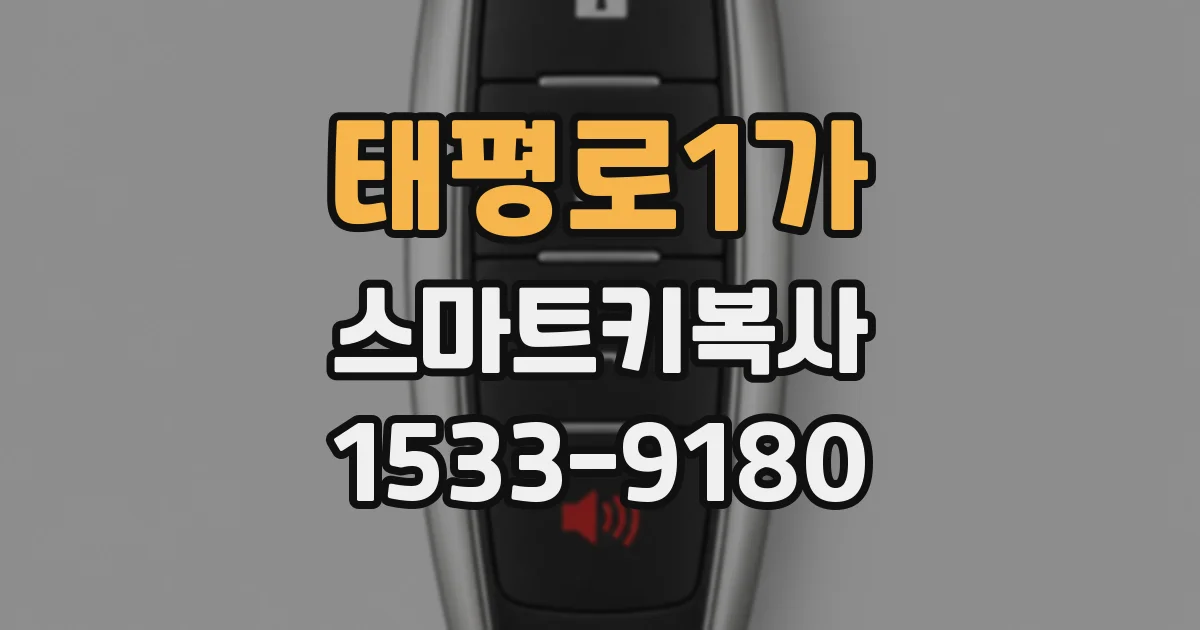 태평로1가 스마트키복사