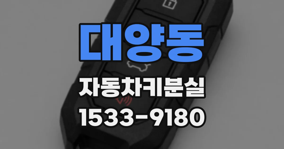 대양동 자동차키분실