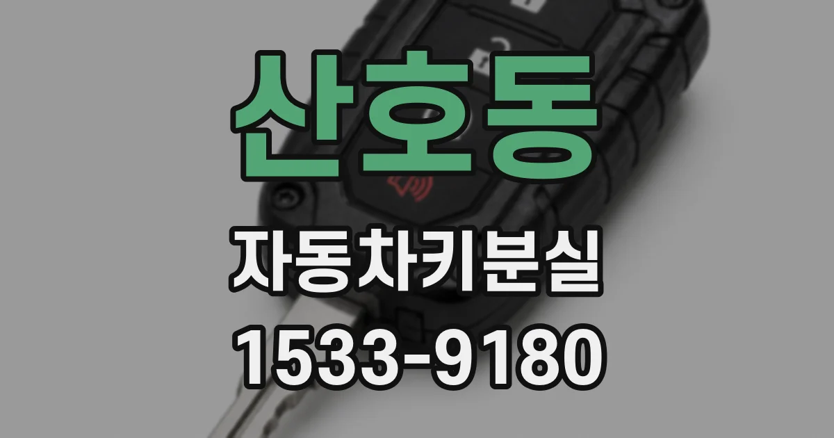 산호동 자동차키분실
