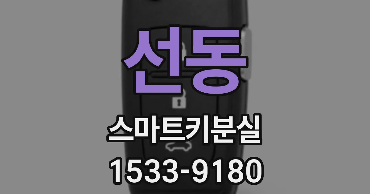 선동 스마트키분실