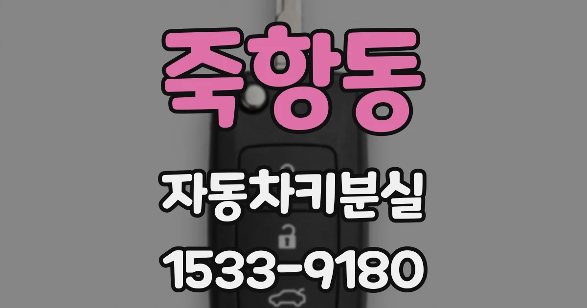 죽항동 자동차키분실