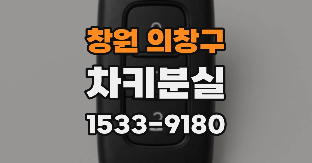 창원 의창구 차키분실