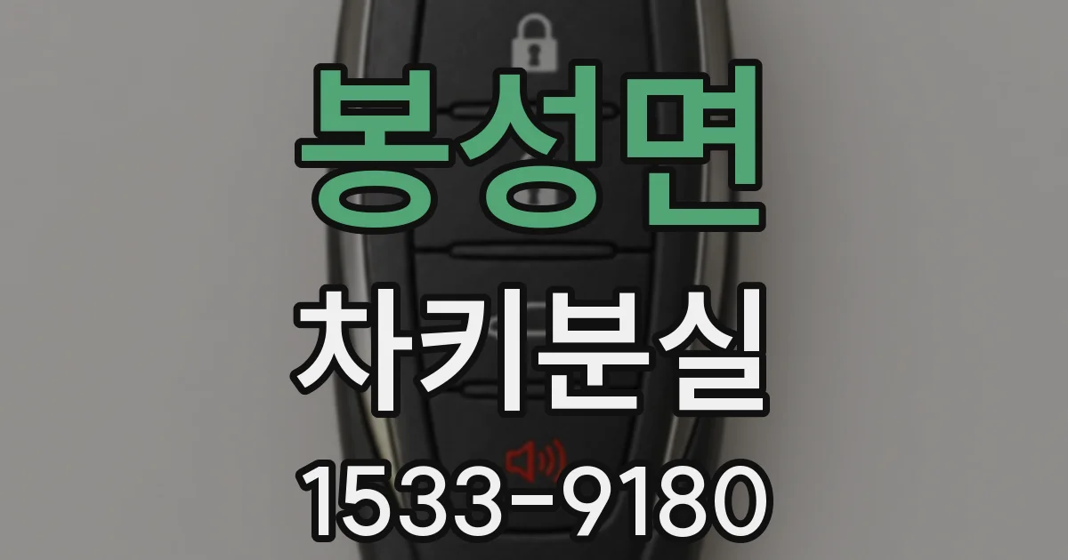 봉성면 차키분실