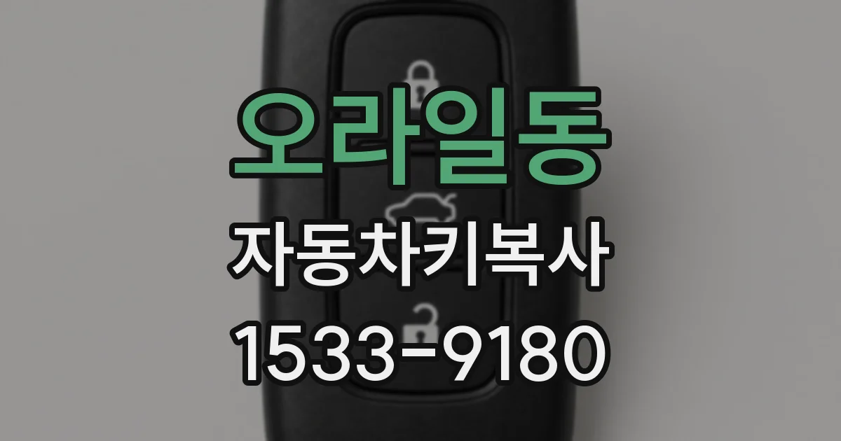 오라일동 자동차키복사