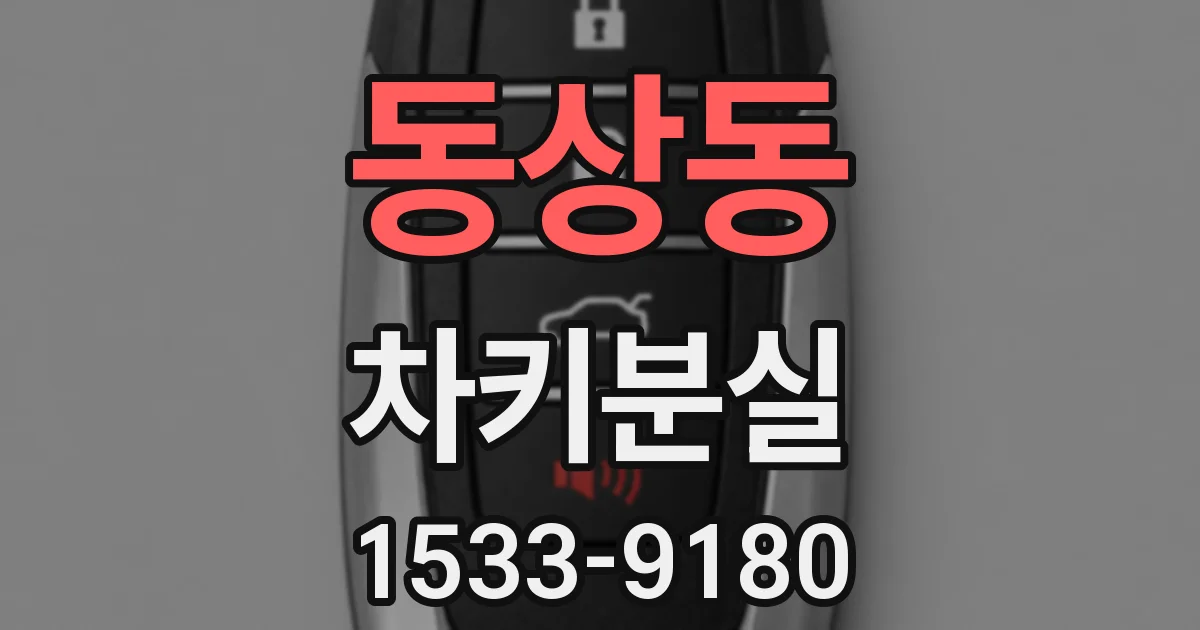 동상동 차키분실