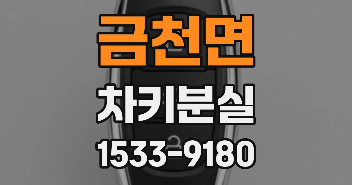 금천면 차키분실