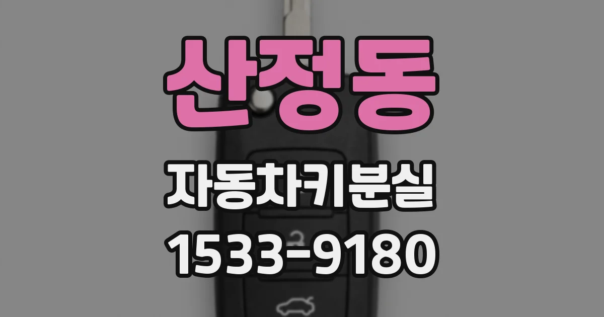 산정동 자동차키분실