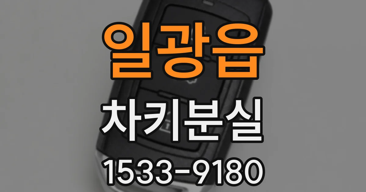 일광읍 차키분실