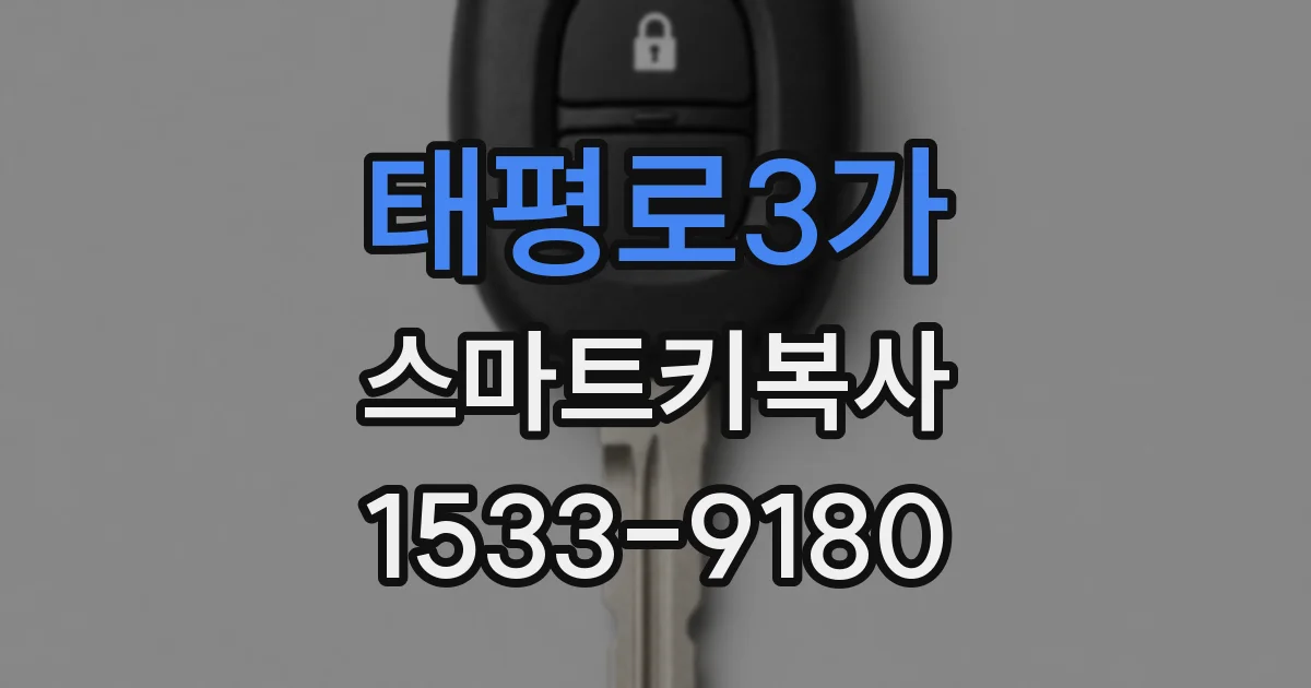 태평로3가 스마트키복사