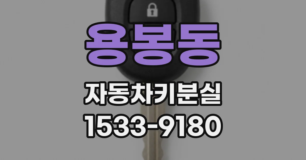 용봉동 자동차키분실