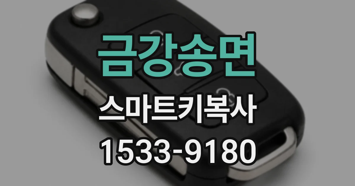 금강송면 스마트키복사