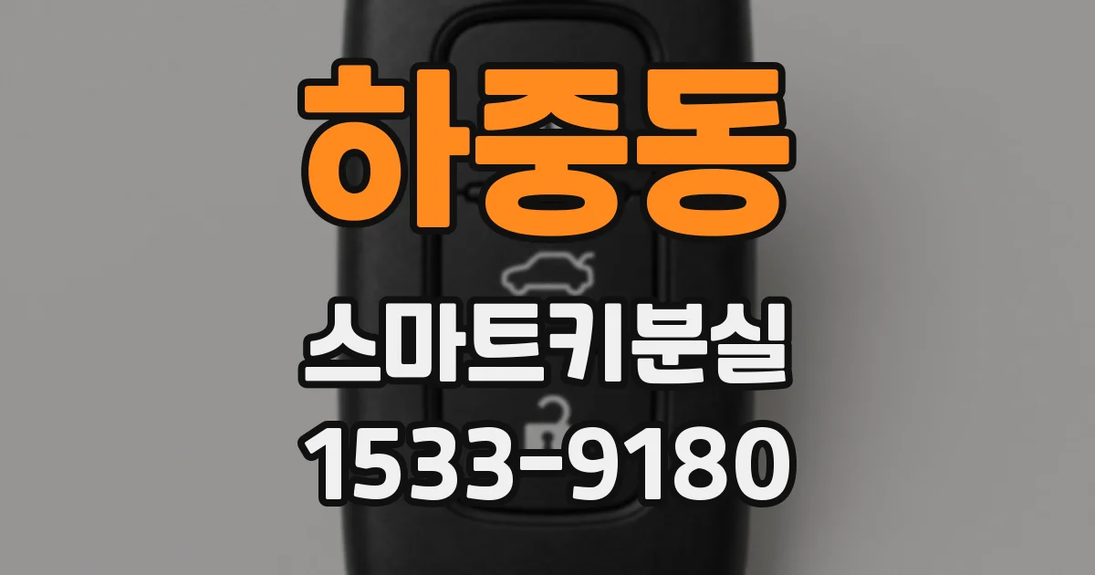 하중동 스마트키분실